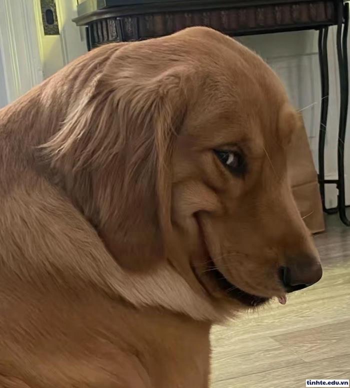 Meme khinh người phản ứng đặc trưng